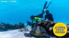 Galápagos, un destino que sorprende con su naturaleza en este feriado